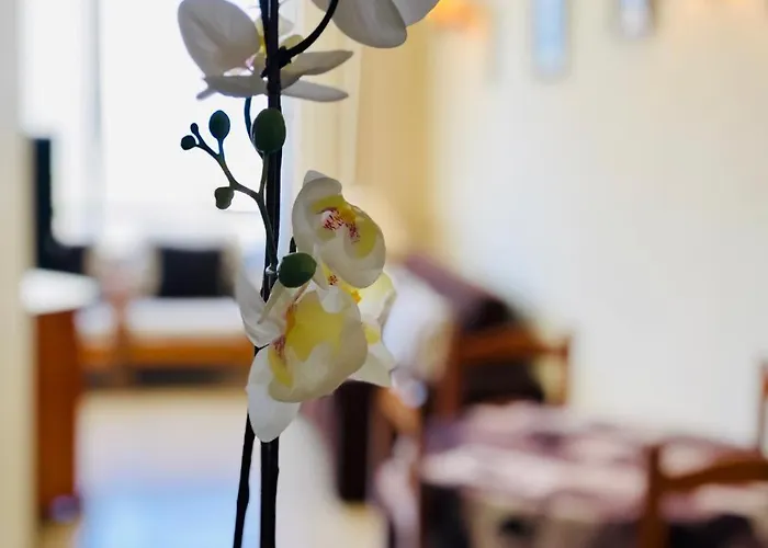 Cozy Playa Americas Διαμέρισμα Πλάγια ντε λας Αμέρικας