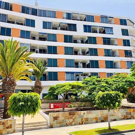 Cozy Playa Americas *