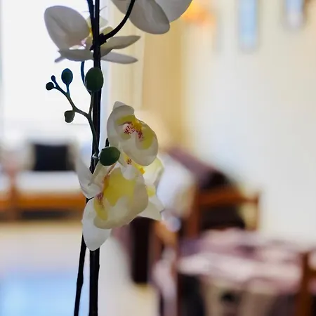 Cozy Playa Americas Appartement Playa de las Américas